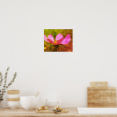 Poster Cosmos rose simple Fleur Art désespéré (Cuisine)
