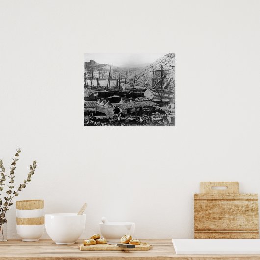 Poster Cossack Bay, Crimée, c.1855 (Cuisine)