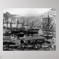 Cossack Bay, Crimée, c.1855