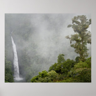 Poster Costa Rica, forêt nuageuse dans les montagnes près