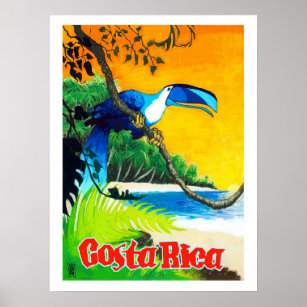Poster Costa Rica, perroquet exotique sur la plage, vinta