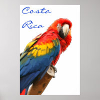 Poster Costa Rica Scarlet Macaw
