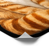 Poster Costume de chat orange nœud papillon tabby mignon (Coin)