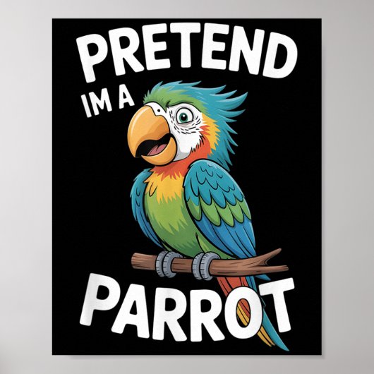 Poster Costume de perroquet (Devant)