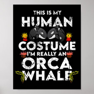 Poster Costume Hilarié Orca Halloween