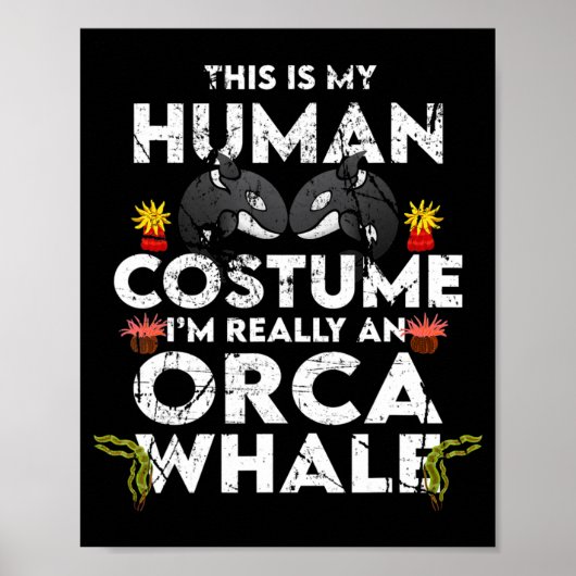 Poster Costume Hilarié Orca Halloween (Devant)