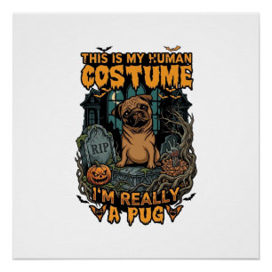 Poster Costume Humain Pug Halloween Citrouille Pierre Tom