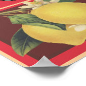 Poster Côté (Coin)