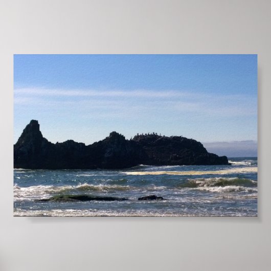 Poster Côte à Seal Rock OR (Devant)