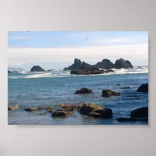 Poster Côte à Seal Rock OR (Devant)