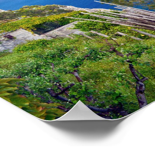 Poster Côte Amalfi (Coin)