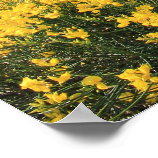 Poster Côte colorée (Coin)