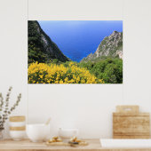 Poster Côte colorée (Cuisine)