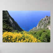 Poster Côte colorée (Devant)