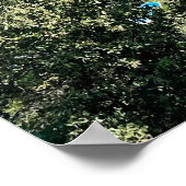 Poster Côte d'Azur (Coin)