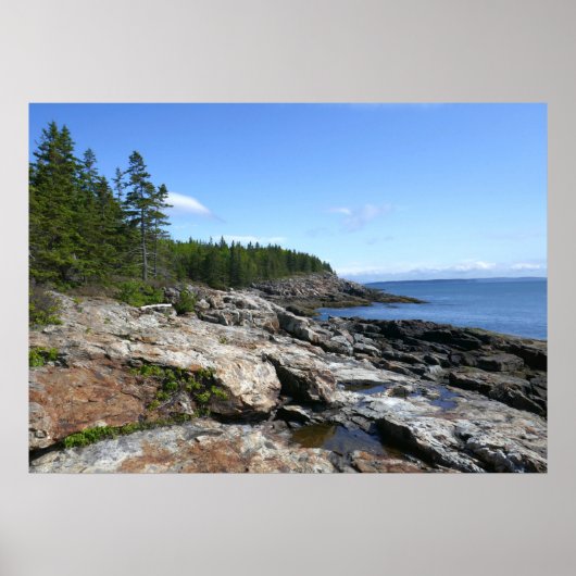 Poster Côte de l'île Bar dans le parc national Acadia (Devant)