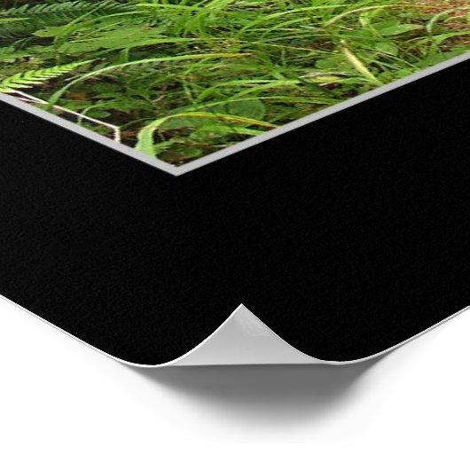 Poster Côte de l'Oregon - Cape Lookout (Coin)