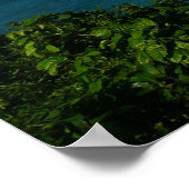 Poster Côte de Sainte-Lucie - Caraïbes Photo de vacances (Coin)