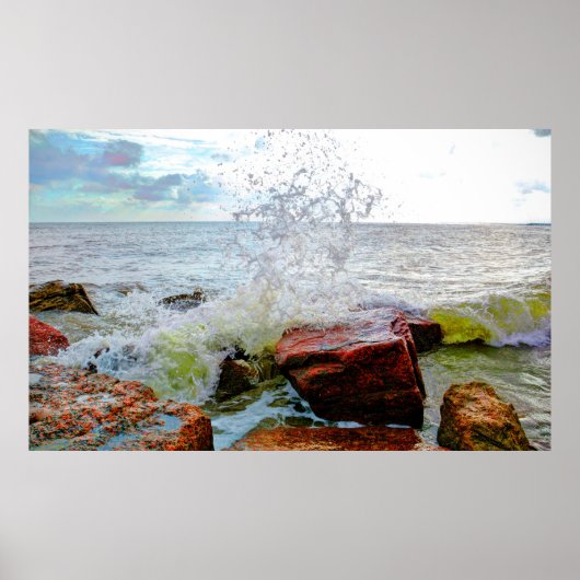 Poster Côte du golfe du Texas (Devant)