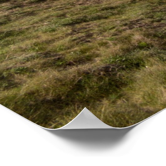 Poster Côte Flamborough (Coin)