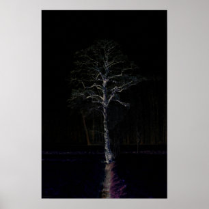 Poster Côté foncé 3 wapcn