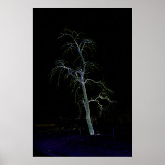 Poster Côté foncé 8 wapcn