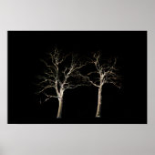 Poster Côté foncé 9 wapcn (Devant)