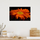 Poster Côté Gerber (Cuisine)