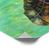 Poster Côte - Île de la tortue de mer (Coin)