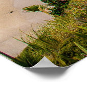 Poster Côte néo-zélandaise (Coin)