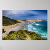 Poster Côte néo-zélandaise (Devant)