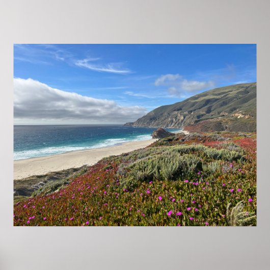 Poster Côte Pacifique (Devant)