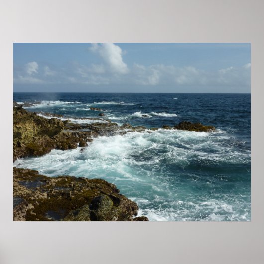 Poster Côte rocheuse d'Aruba et océan bleu (Devant)