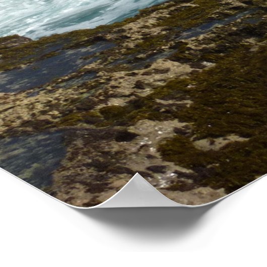 Poster Côte rocheuse d'Aruba et océan bleu (Coin)