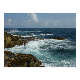 Poster Côte rocheuse d'Aruba et océan bleu