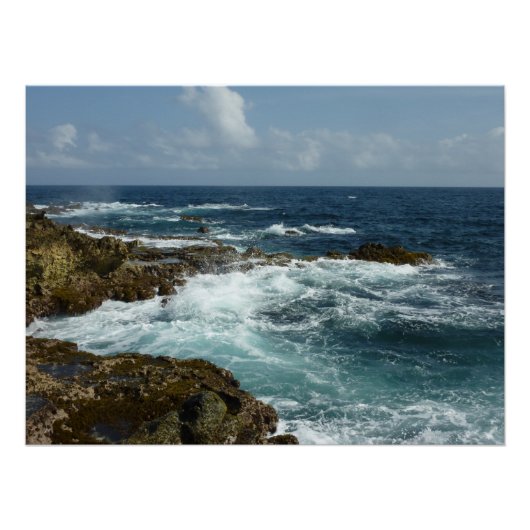 Poster Côte rocheuse d'Aruba et océan bleu (Devant)