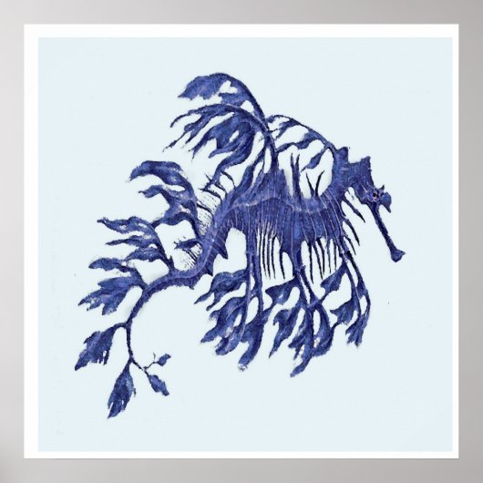 Poster Côtier - Dragon de mer Weedy (Devant)