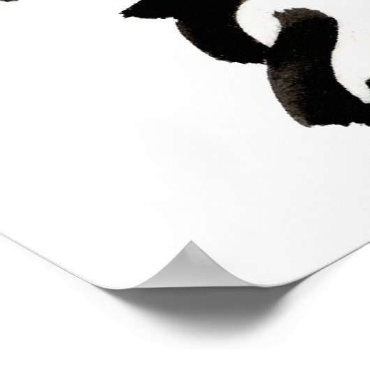 Poster Coton blanc de Tuléar face (Coin)