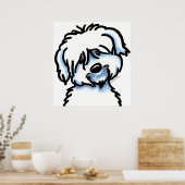Poster Coton blanc de Tuléar face (Cuisine)