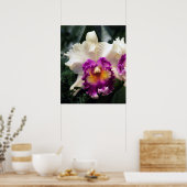 Poster Coton Candy Orchid V Imprimer -20x24 -ou plus peti (Cuisine)