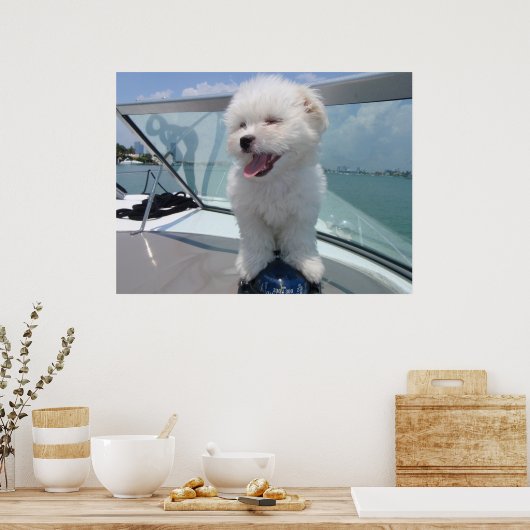 Poster coton De Tulear (Cuisine)