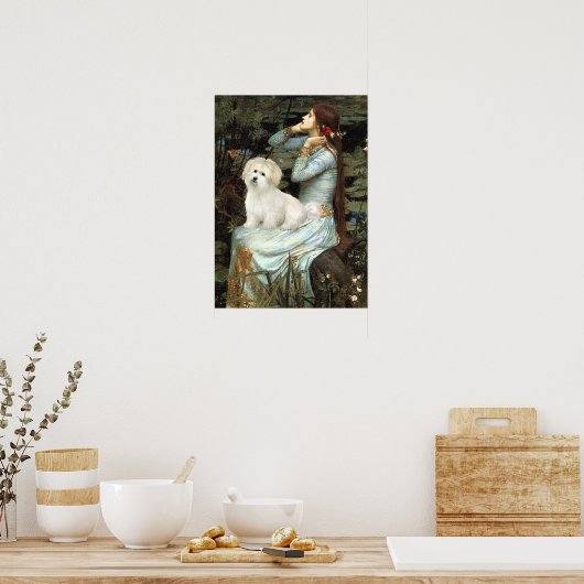 Poster Coton de Tulear 7 - Ophelia Siège (Cuisine)