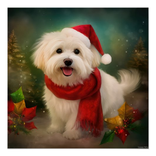 Poster Coton De Tulear Chien dans la neige Noël (Devant)