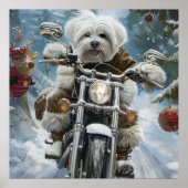 Poster Coton De Tulear Chien équitation Moto Noël (Devant)