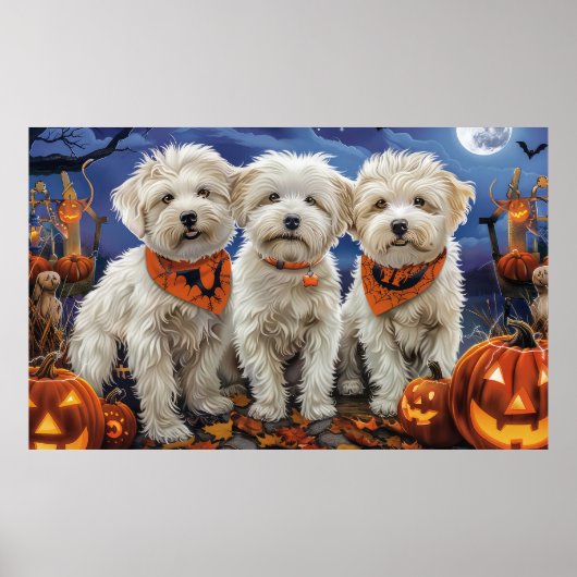 Poster Coton De Tulear Halloween Épouvante (Devant)