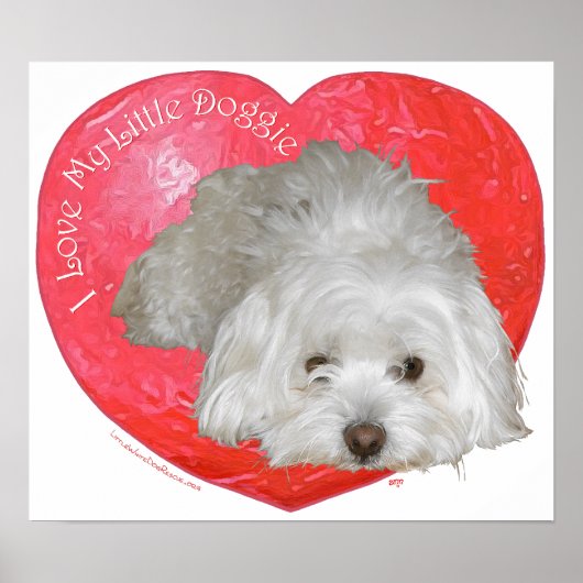 Poster Coton de Tulear Saint-Valentin (Devant)