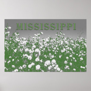 Poster Coton du Mississippi