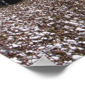 Poster Coton haut (Coin)