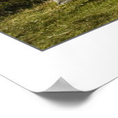 Poster Cottage Blackrock, Écosse (Coin)