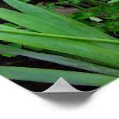 Poster Cottage Garden (Coin)